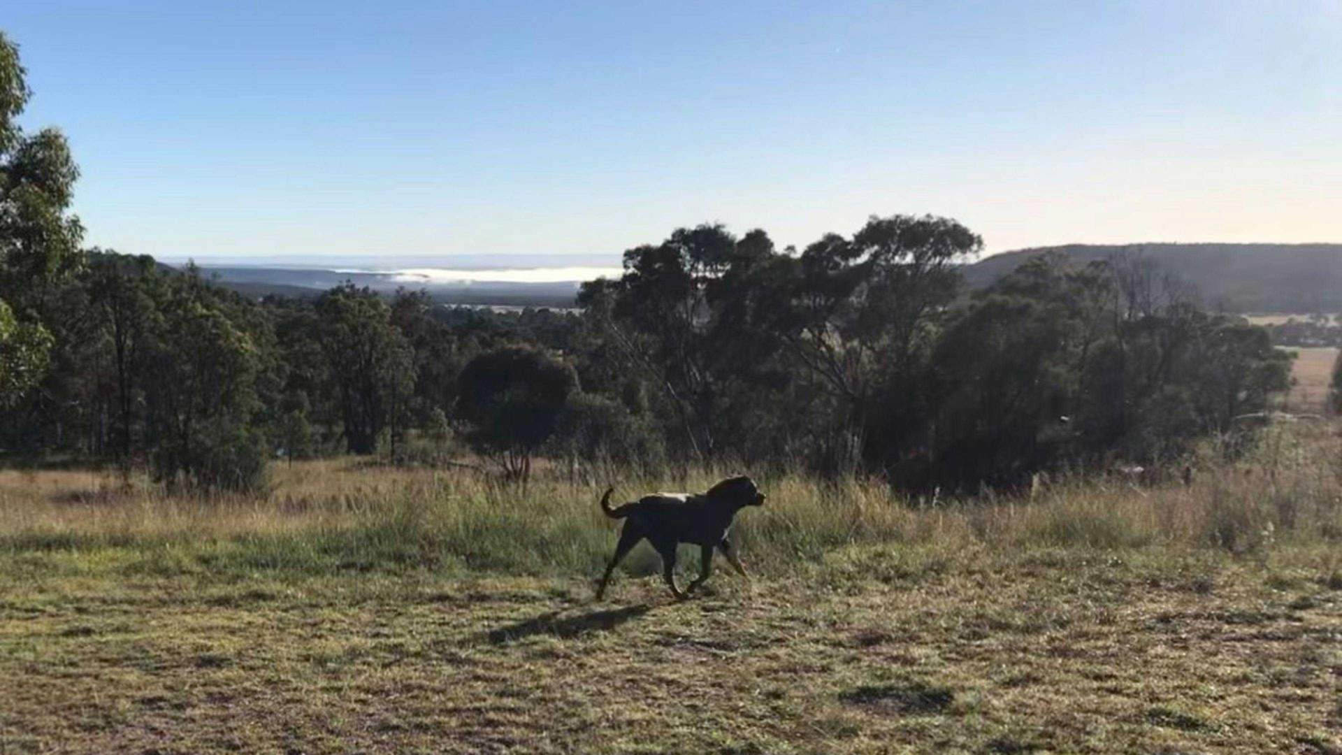 Shining-Light-Farm-Hilltop-Site-Unfurled-Hunter-Valley_Bpaeqhu