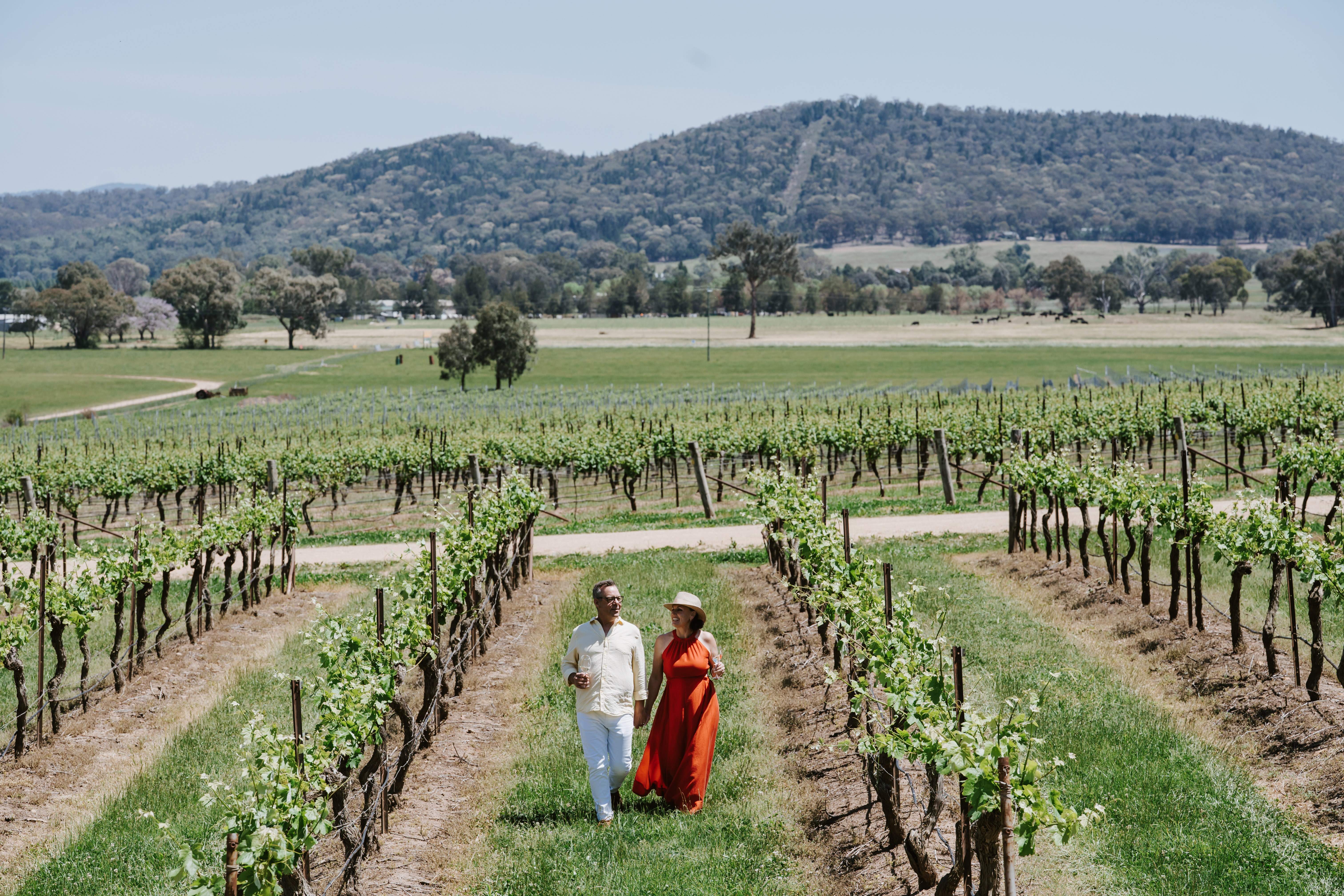 Visit Mudgee Region | You've Earned It