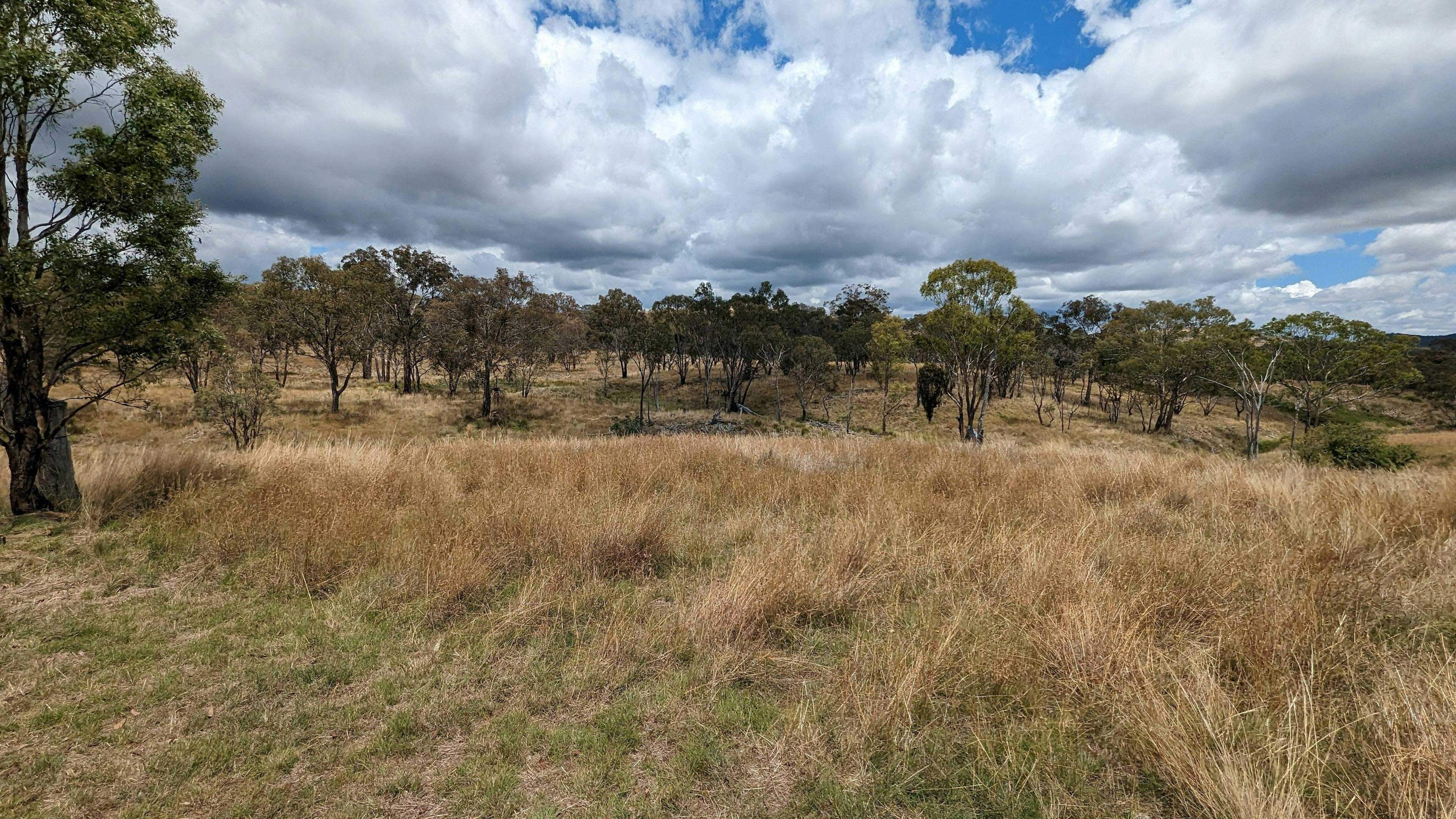 Meroo Hills | Visit Mudgee Region