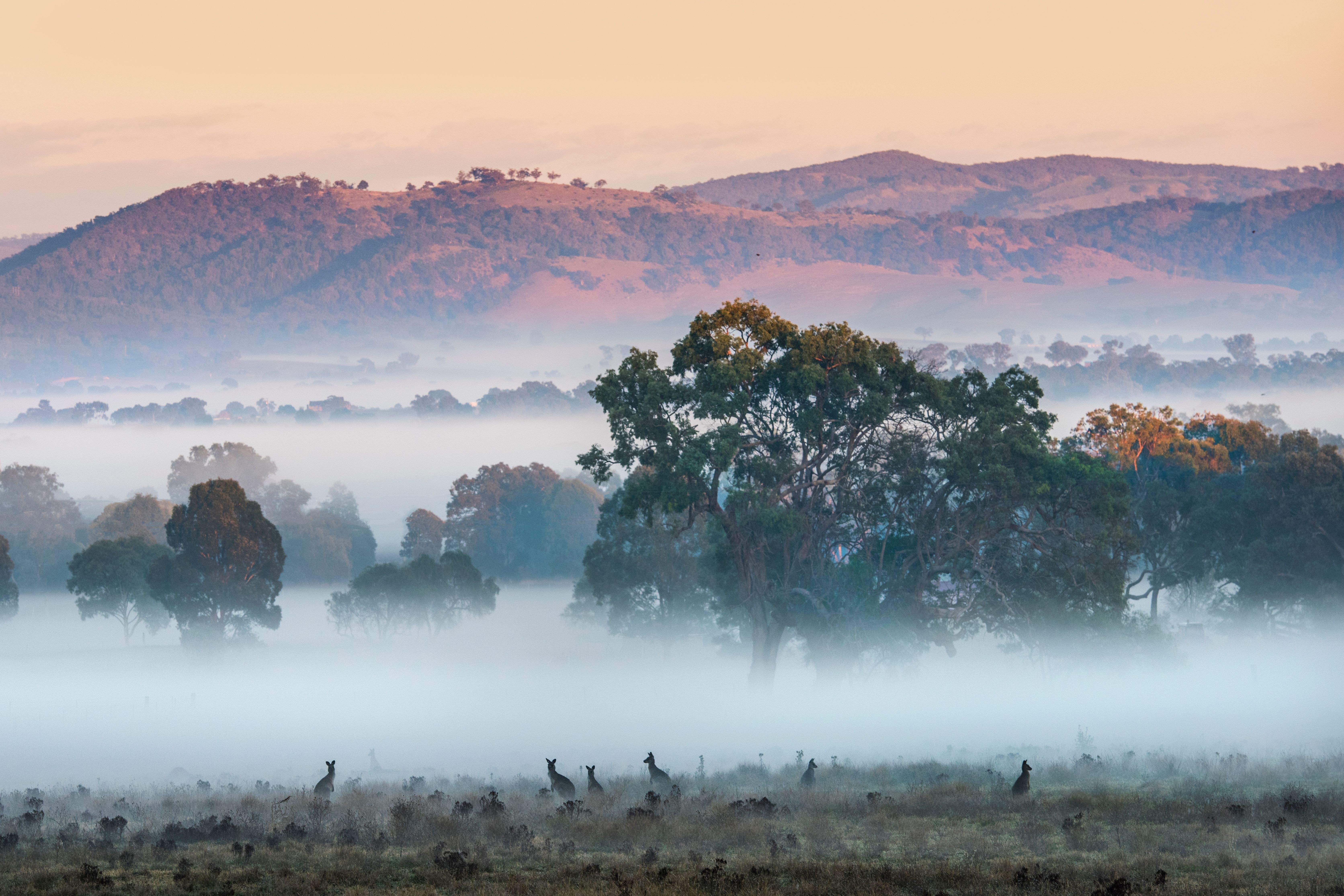 Visit Mudgee Region | Mudgee Region for book lovers