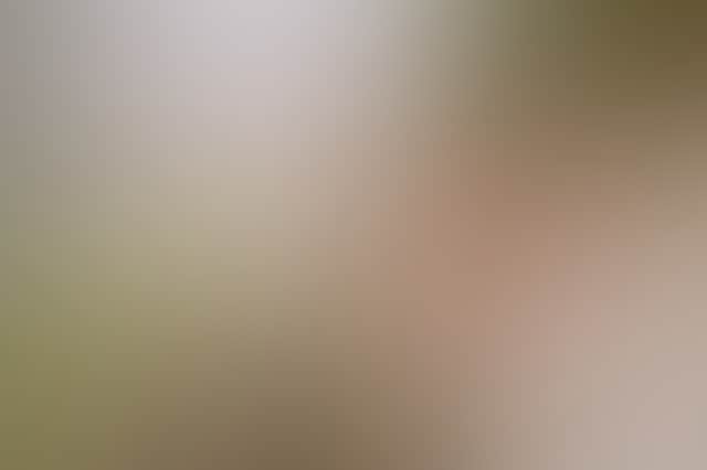 Remy Brand 2022 Ricardoes strawberries 554 web