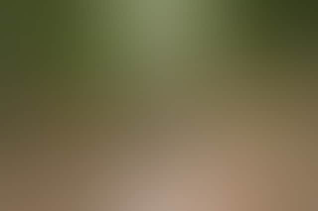 Remy Brand 2022 Ricardoes greenhouse customer 543 web