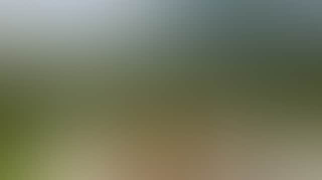 Feast with a view 1 byabarra