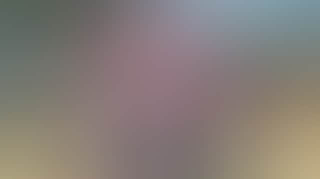 Wauchope farmers market Costa Honey