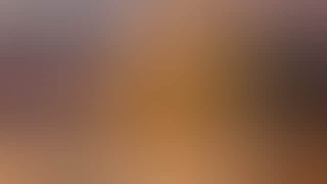 Burger rebellion burger