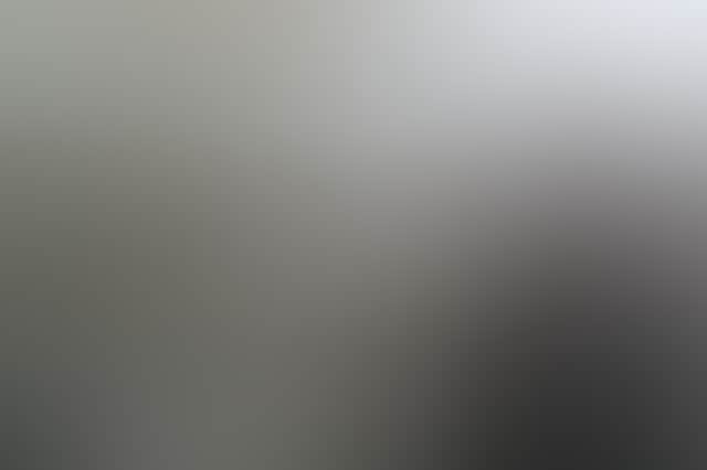 Remy Brand 2022 Laurieton Seafoods exterior 212