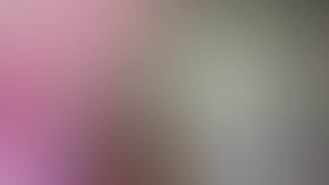 Wauchope creative hub