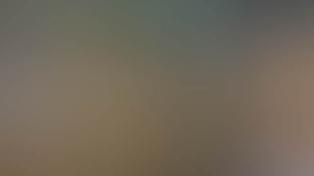 Squeaky gate farm shop