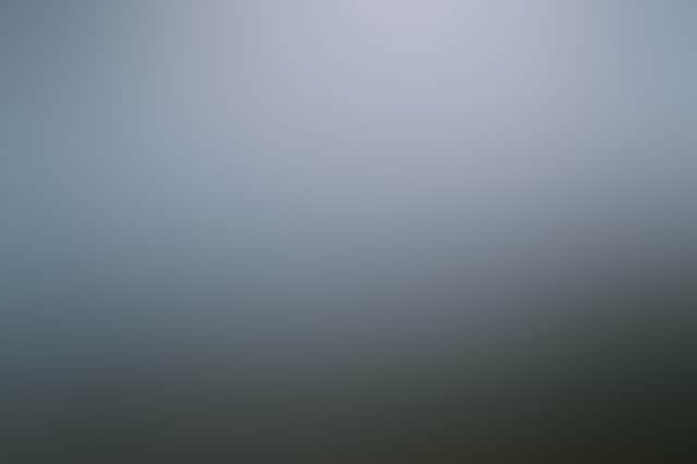 Remy Brand 2022 Grazed and Grown 462 web