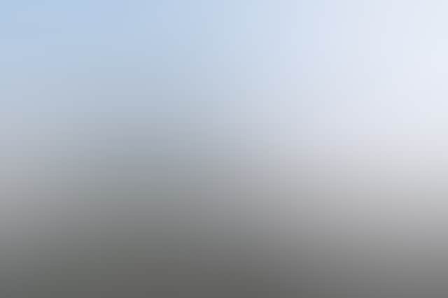 Remy Brand 2022 Laurieton Seafoods 213